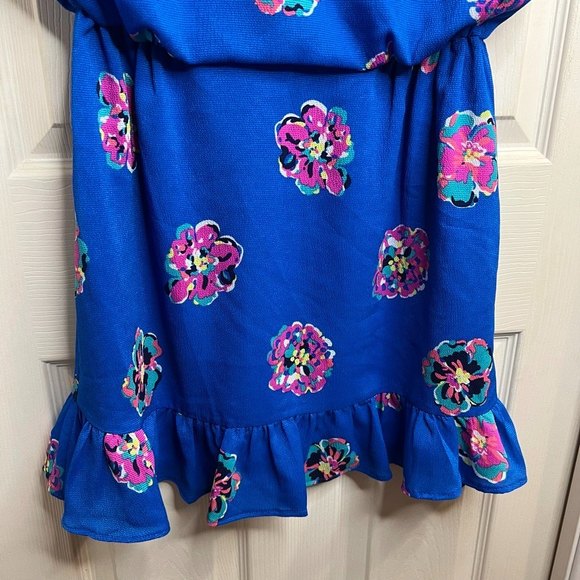 Lily Pulitzer Royce Blue of Corsage Auburn Dress Floral Small - Picture 4 of 10